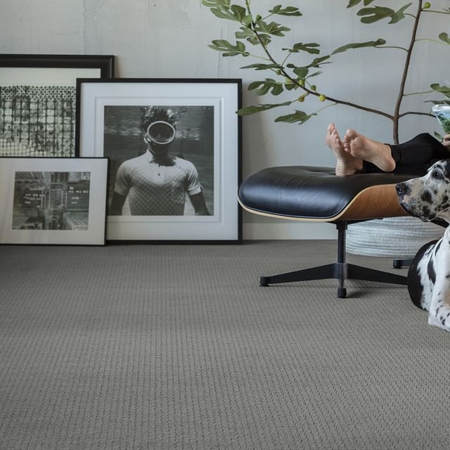 About Anderson Tuftex Collection