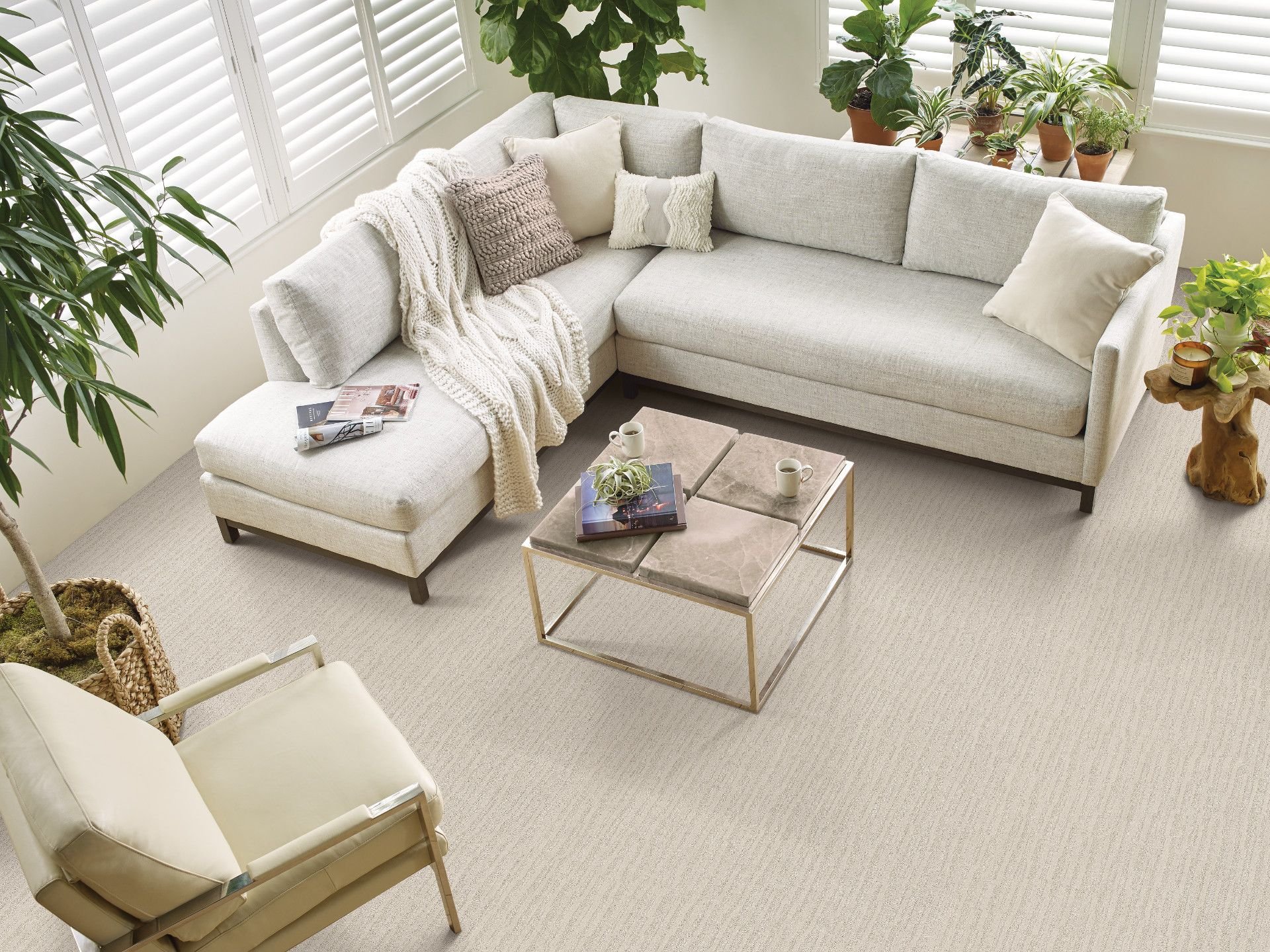 large living room with white couch on carpet from Migliore’s Flooring & Rugs in Cookeville